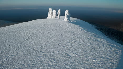 frozen sculptures on a snowy mountain peak