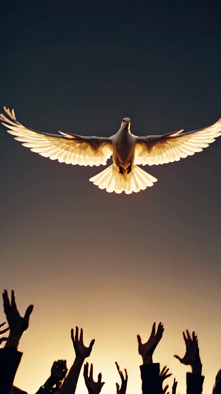 Een opname vanuit een lage hoek toont een duif die boven uitgestrekte handen vliegt tegen een zonsondergang