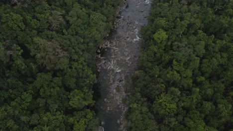 Dichtes-Dickicht-Am-Fließenden-Fluss-In-Der-Mossman-Schlucht-Im-Daintree-Nationalpark,-Queensland,-Australien