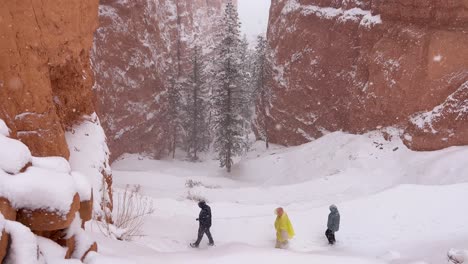 hikers explore a stunning snowcovered canyon in winter surrounded by breathtaking pristine nature hikers explore a stunning snowcovered canyon in winter surrounded by breathtaking pristine nature