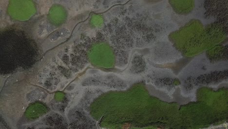 Cenit-Blick-Von-Einer-Drohne,-Die-Direkt-über-Ein-Feld-Und-Einen-Fluss-Fliegt