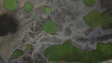 vista cenital desde un dron que vuela justo sobre un campo y un río