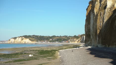 4k-Kreideküste-Bei-Dieppe-In-Der-Normandie-Bei-Ebbe,-Frankreich-2