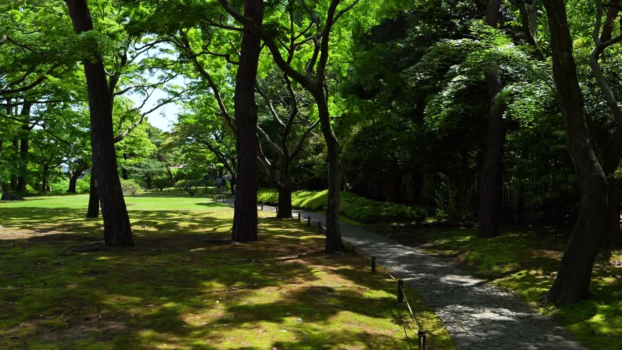 아름다운 토노가야토 정원 (tokyo's beautiful tonogayato gardens) 은 푸른 여름날에 있는 도쿄의 정원이다.