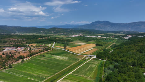 Drone-flyover-rural-fields-on-the-countryside-of-Istria,-summer-day-in-Croatia