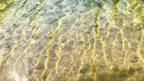 fondo de agua clara del río que fluye sobre la arena