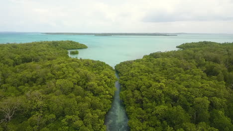 Tres-Islas-De-Manglares-Durante-El-Día