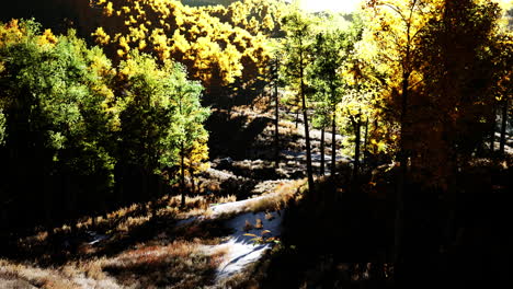 Valley-with-autumn-trees-among-the-mountains-lit-by-the-sun-at-sunset