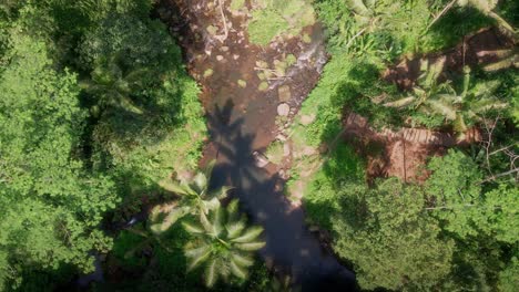 small river in middle of rainforests of sunny indonesia - descending, drone shot