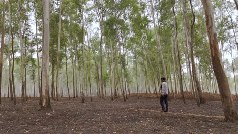 El-Dron-Viaja-Dentro-Del-Verde-Bosque-Salvaje-De-La-Región-De-Terai,-Deleitando-A-Un-Excursionista-Nepalí-Caminando-Con-Asombro.