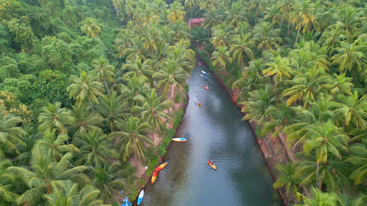 vista aérea de la playa de cola con palmeras y coloridos kayaks goa india 4k drone