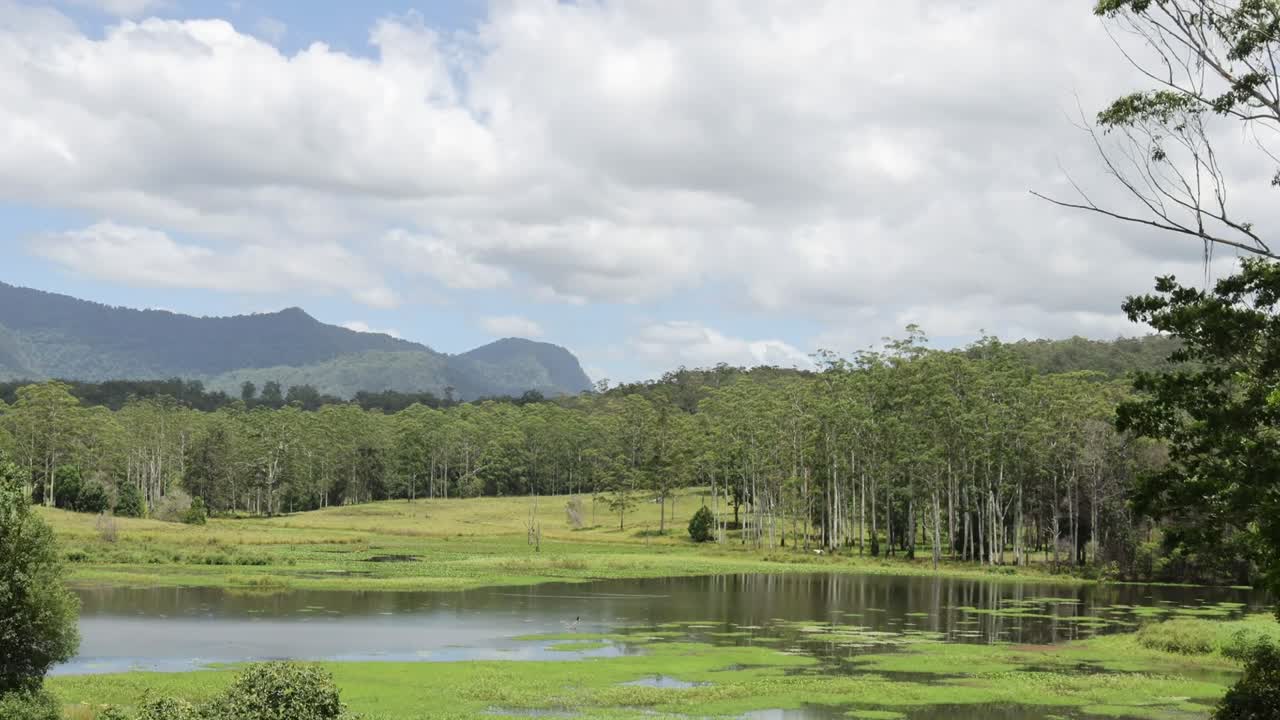 A vibrant view of wetlands with distant mountains under a partly cloudy sky.