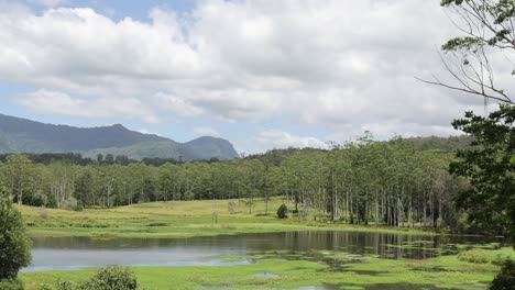 a vibrant view of wetlands with distant mountains under a partly cloudy sky.