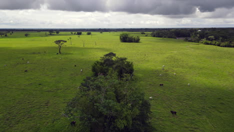 Colombia-Eastern-Plains---Llanos-Orientales-8