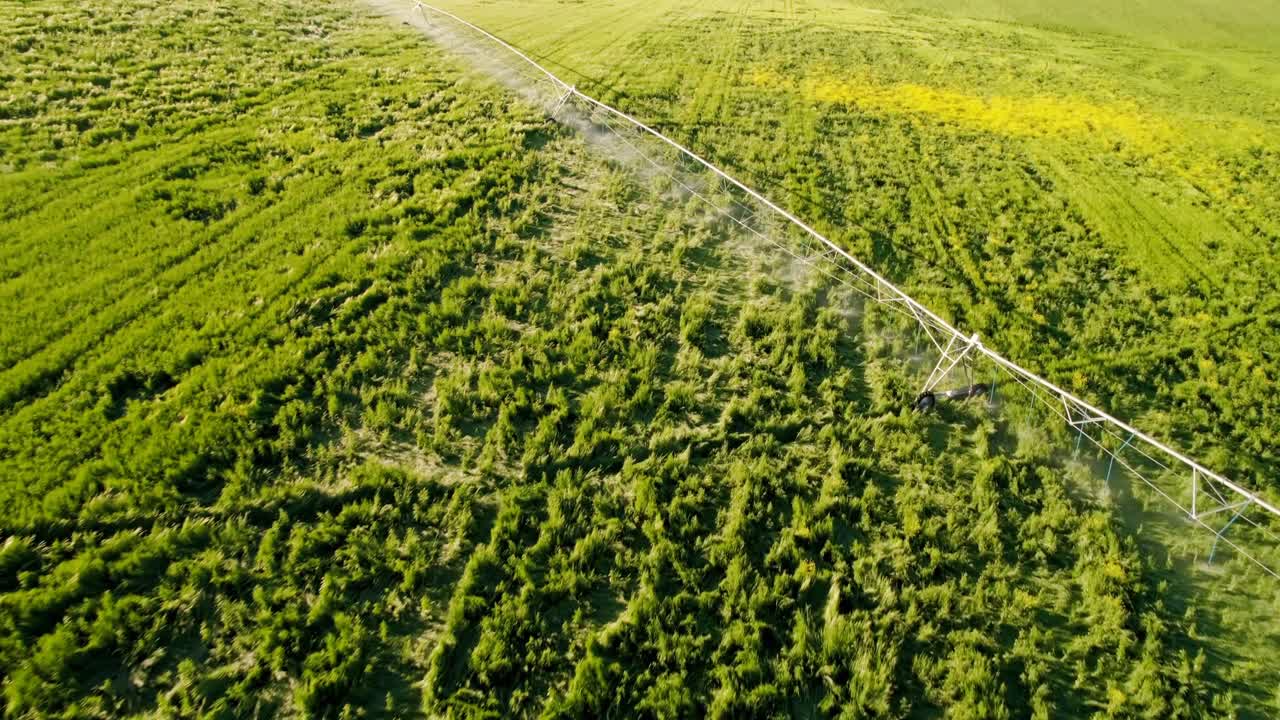 녹색 작물의 관개 4k