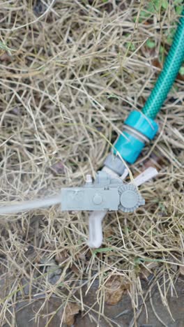 garden sprinkler spraying water on dry grass