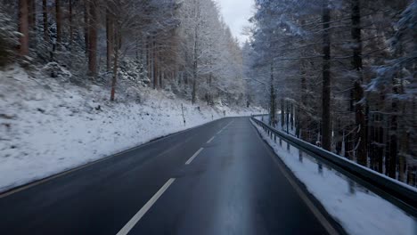 conduciendo en un hermoso paisaje invernal en alemania