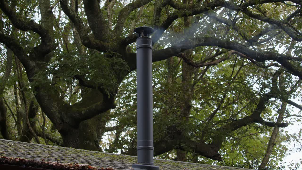 ampio scatto di un camino di fumo di metallo con fumo leggero, grande albero dietro