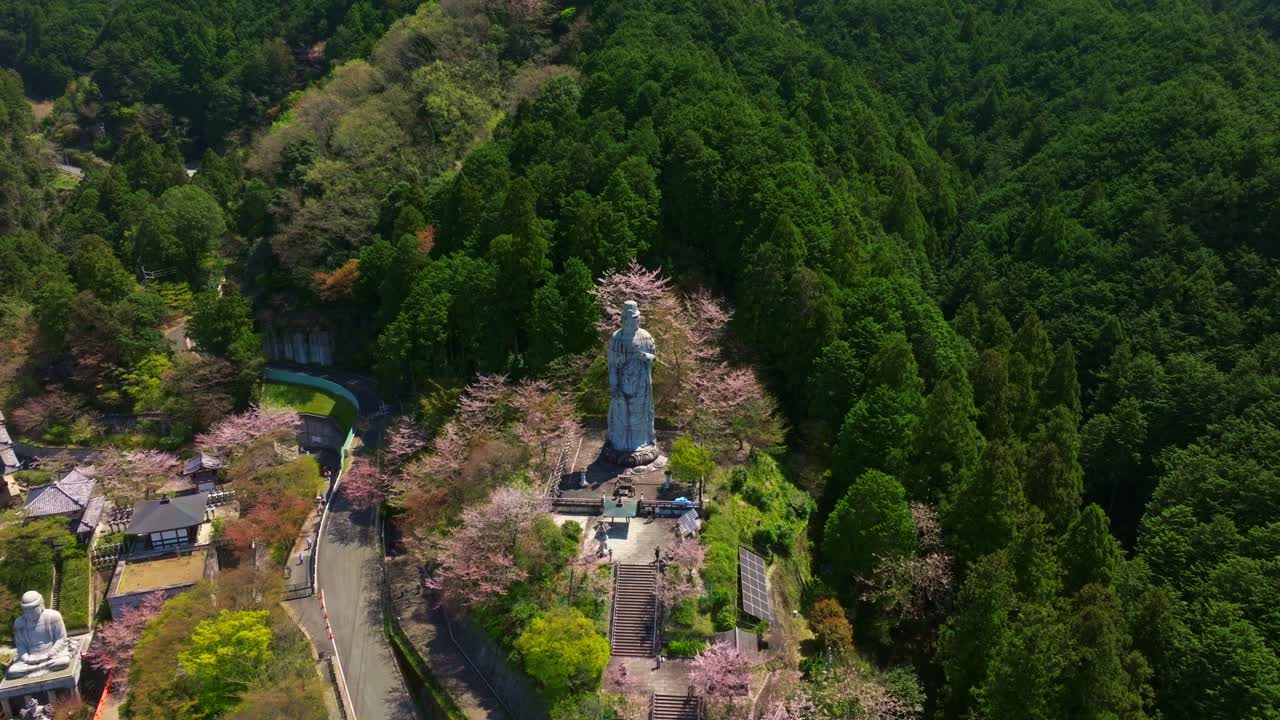 Aerial drone establisher fly Buddhist statue along Japanese temple in Mountain cherry blossomed flower landscape at Tsubosaka-dera, Nara