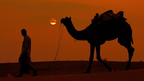 Cameleers,-camel-Drivers-at-sunset-in-slow-motion.-Thar-desert-on-sunset-Jaisalmer,-Rajasthan,-India.