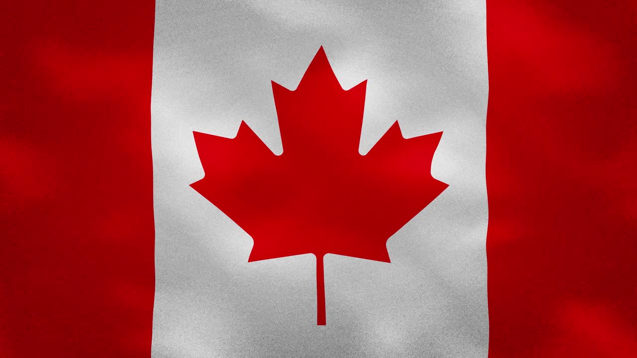 las densas ondas de tela de la bandera canadiense, el bucle de fondo