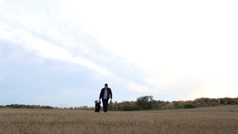 Junger-Vater-Mit-Seinem-Sohn,-Der-Auf-Dem-Feld-Spaziert