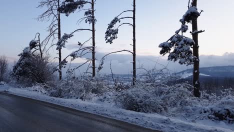 Winterstraße-Mit-Bäumen,-Büschen-Und-Schnee-Aus-Fahrendem-Auto-Geschossen