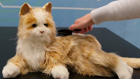 a robotic cat being brushed