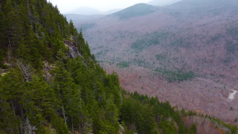 beautiful northeastern landscape with rocky cliffs among pine trees on mountainside