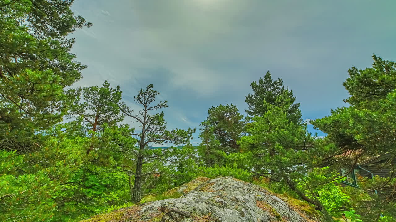 구름이 움직이는 동안 고요한 녹색 숲의 초저속
