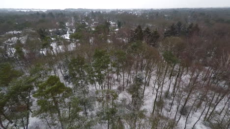 über-Bäume-Fliegen-Und-Im-Winter-Eine-Kleine-Stadt-Enthüllen