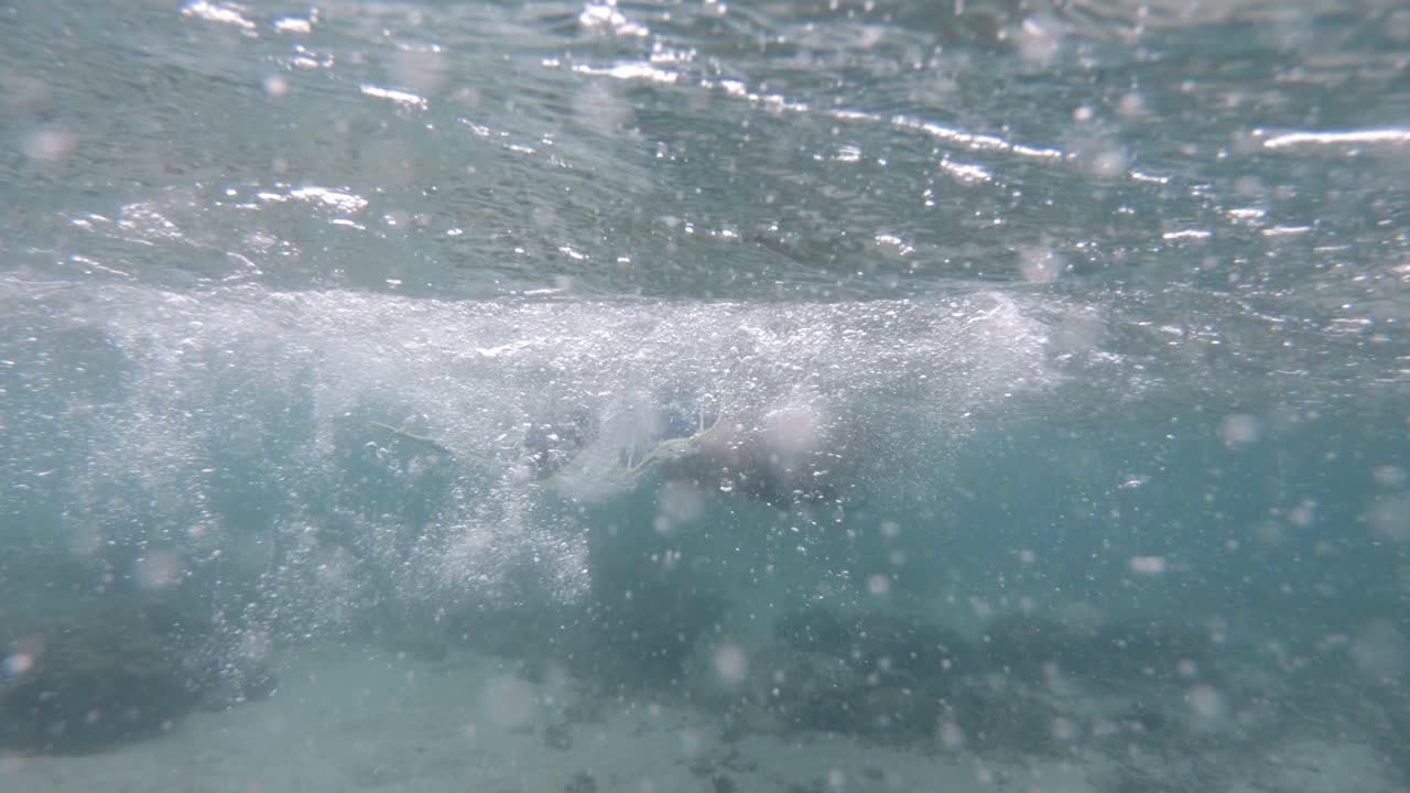 태국의 맑고 투명한 바다에서 스노클링 모험을 즐기는 관광객 - 수중