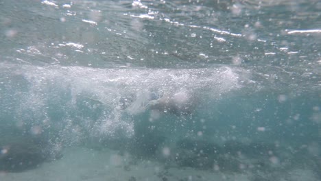 un turista disfrutando de una aventura de esnórquel en las aguas claras y transparentes de tailandia - bajo el agua