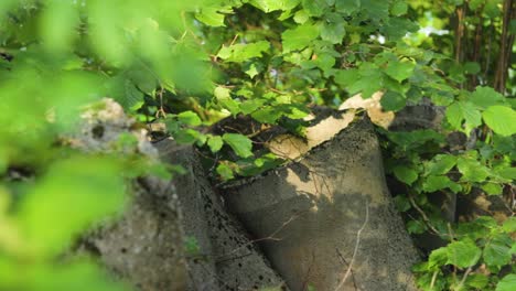 Stone-Pipes-in-Nature,-Norway