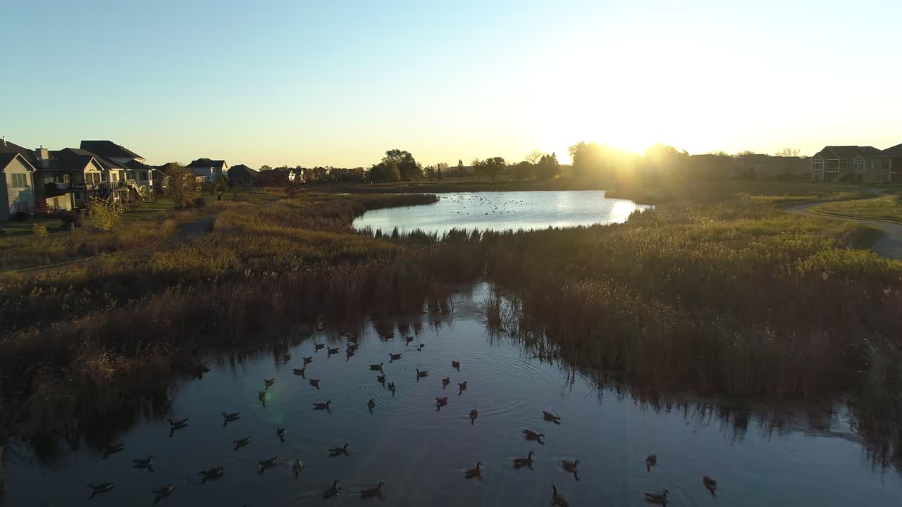 일출 때 동네 뒤 연못의 공중 돌리 샷