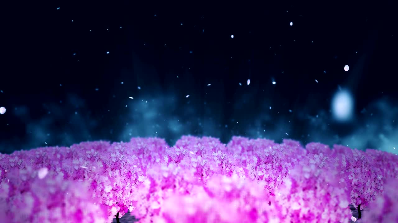 봄의 숲 풍경 일러스트레이션, 추상적인 자연 배경, 체리 꽃 루프 애니메이션