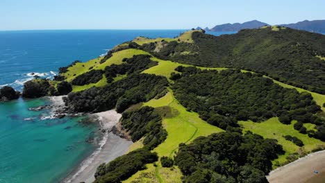 paseo por la isla de urupukapuka con exuberantes colinas verdes y árboles durante el verano en northland, nueva zelanda