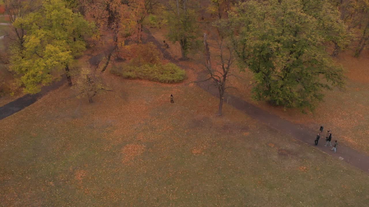 공원에서 걷는 사람들의 클립 두 개