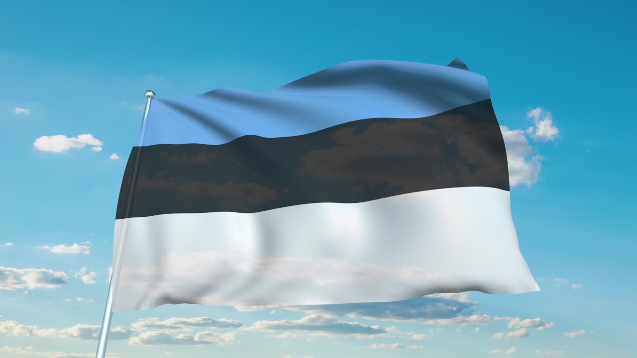 에스토니아의 발은 구름이 가득한 하늘을 배경으로 직물 구조로 (loopable)