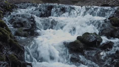 small river spring time video