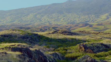 Aerial-view-of-the-Hawaiian-island-Maui-with-cliffs,-rocks-and-its-lush,-rolling-green-hill-landscape