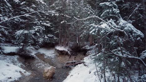 Süßwasser-Brunnen-Quelle-Im-Wald-Im-Winter-Enthüllt