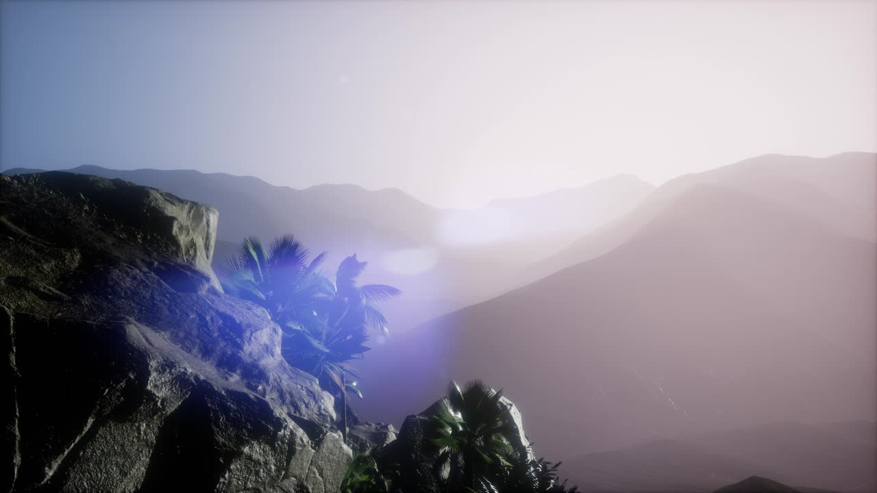 ⁇ 나무 를 가로지르는 해 가 지는 광선