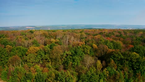beautiful wood at fall season. flying over the colorful trees in autumn. forest landscape on nature background. aerial view.