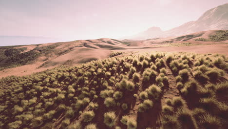 a stunning desert landscape