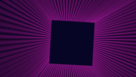 stylish black and pink striped pattern with central black square