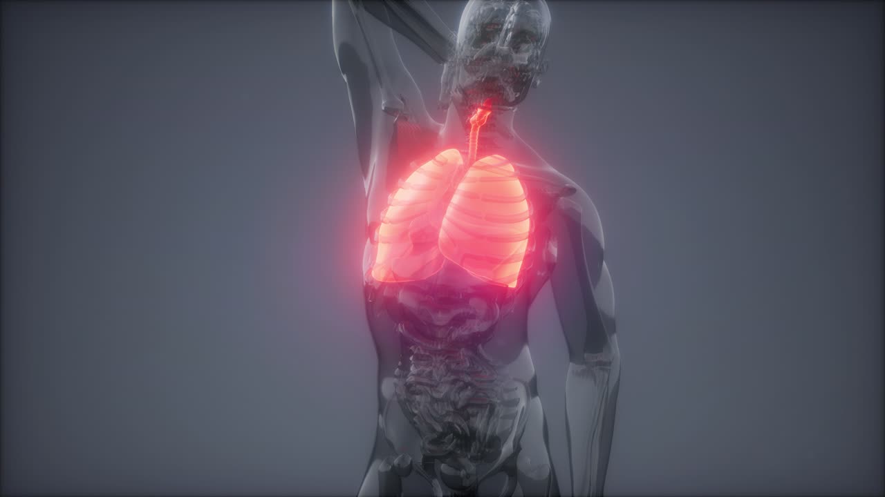 examen radiológico de los pulmones humanos