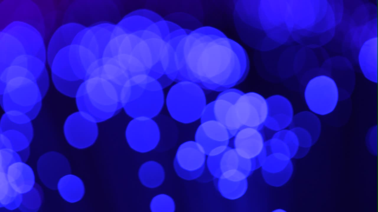 광섬유 매크로 샷 04