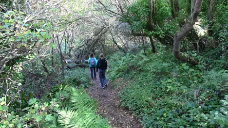 a-young-walks-in-a-forest-on-a-dirt-path,-south-of-England,-dorset