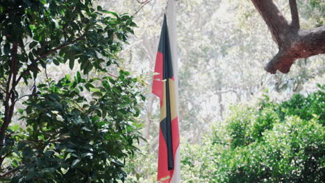 aboriginal flag hanging down from tree branch - port macquarie, nsw - medium closeup shot